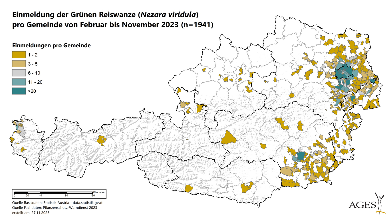 Verbreitungskarte der Grünen Reiswanze in Österreich (Vergrößert das Bild in einem Dialog Fenster)