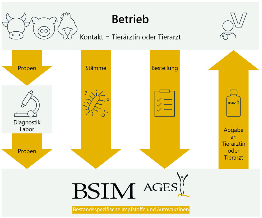 Grafik zu Bestandspezifischen Impfstoffen