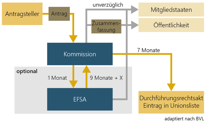 Procedure for the approval of a novel food