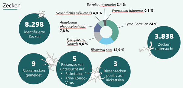 Zecken mikroskopisch analysiert nach NUTS3 Region