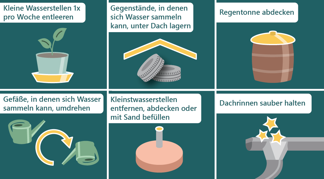 © AGES  (Vergrößert das Bild in einem Dialog Fenster)