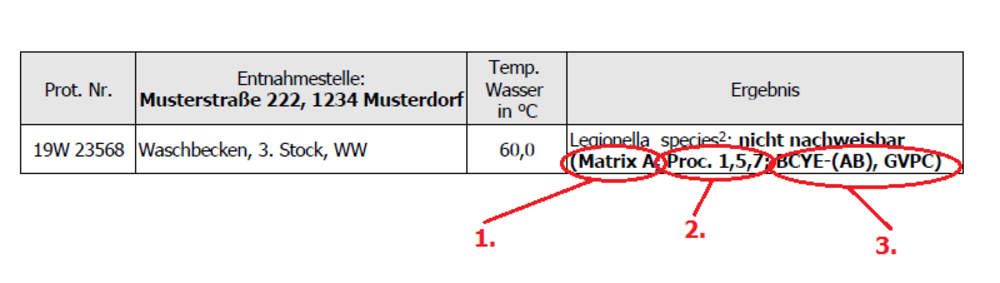 Muster Legionellenbefund