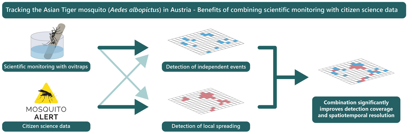 Benefits of combining scientific monitoring with citizen science data