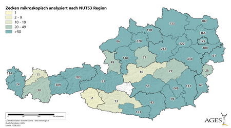 Zecken mikroskopisch analysiert nach NUTS3 Region (Vergrößert das Bild in einem Dialog Fenster)