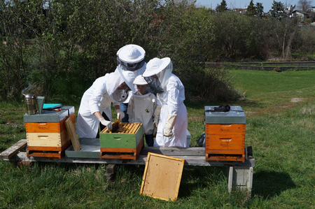 Nearly 200 apiaries throughout Austria were visited by our samplers to record bee health. (Enlarges Image in Dialog Window)