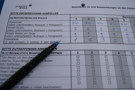 The condition of the colony and the observed symptoms are recorded in detail in a survey form. (Enlarges Image in Dialog Window)