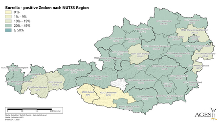 Borrelia-positive Zecken nach NUTS3 Region (Vergrößert das Bild in einem Dialog Fenster)