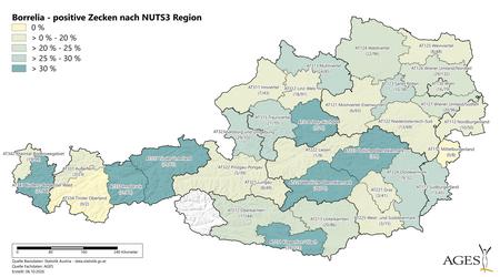 Jahr 2026: Borrelia-positive Zecken nach NUTS3 Region (Vergrößert das Bild in einem Dialog Fenster)