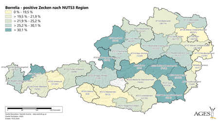 Borrelia-positive Zecken nach NUTS3 Region (Vergrößert das Bild in einem Dialog Fenster)