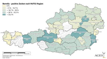 Jahr 2026: Borrelia-positive Zecken nach NUTS3 Region (Vergrößert das Bild in einem Dialog Fenster)
