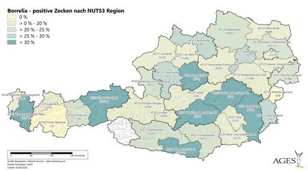 Jahr 2026: Borrelia-positive Zecken nach NUTS3 Region (Vergrößert das Bild in einem Dialog Fenster)