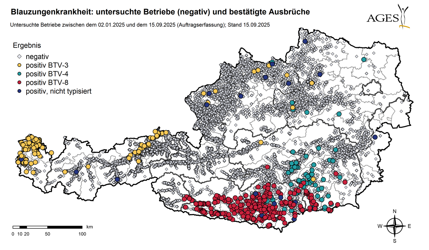 Österreichkarte: Eingezeichnet sind Ausbrüche und seit dem 01.01.2025 in Österreich untersuchte Betriebe mit negativem Ergebnis (10.820) (Vergrößert das Bild in einem Dialog Fenster)