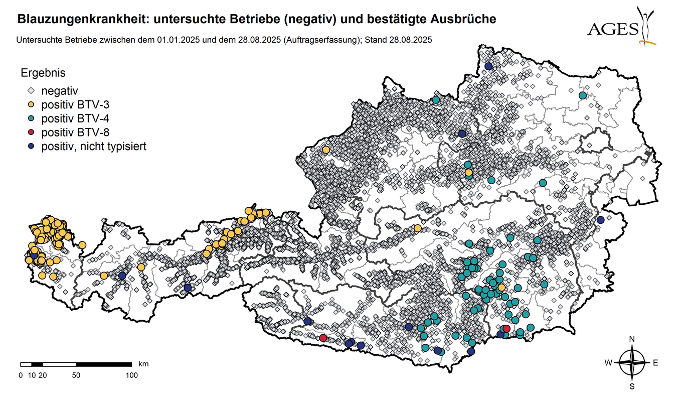 Österreichkarte: Eingezeichnet sind Ausbrüche und seit dem 01.01.2025 in Österreich untersuchte Betriebe mit negativem Ergebnis (10.695) (Vergrößert das Bild in einem Dialog Fenster)