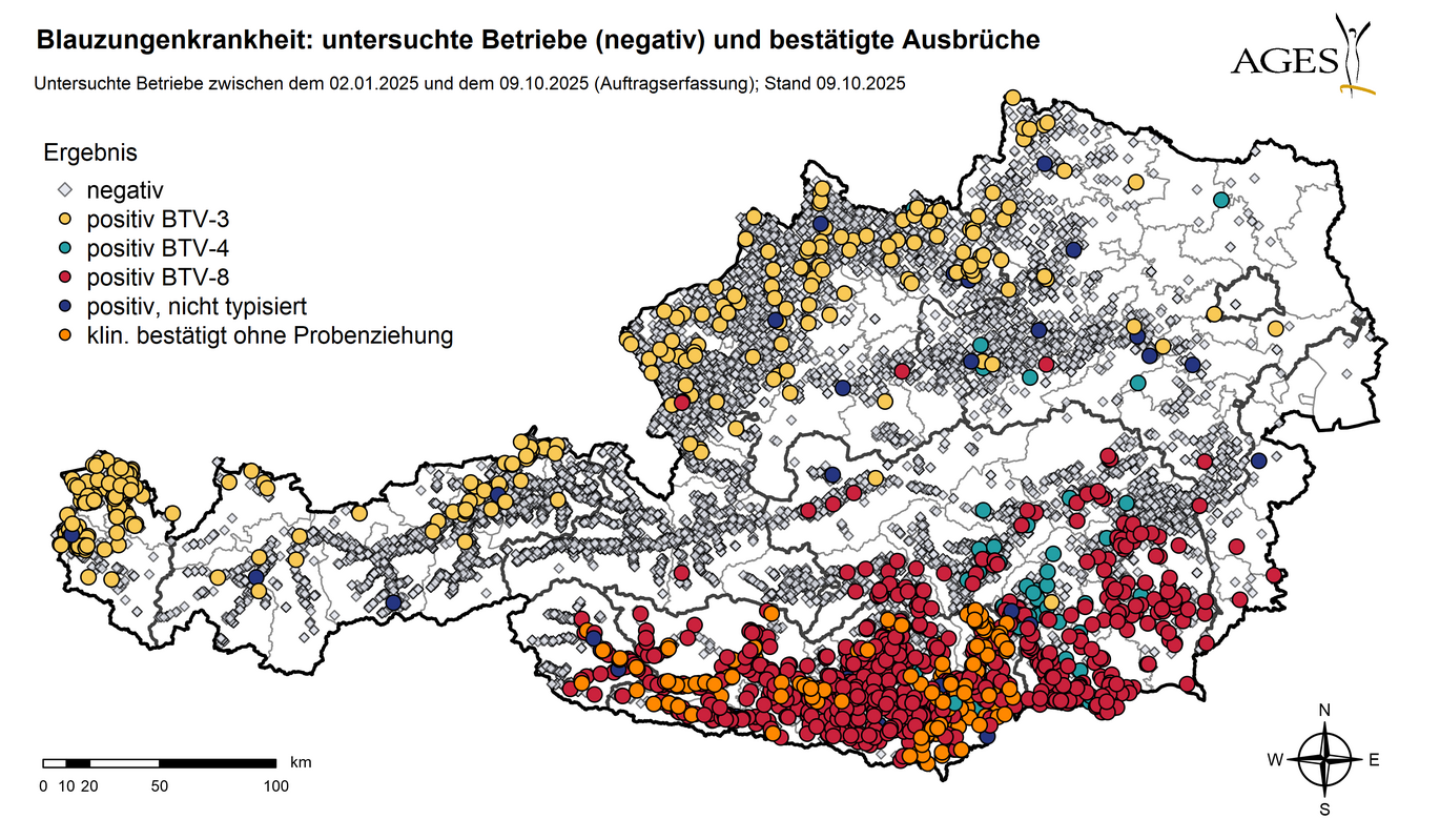 Österreichkarte: Eingezeichnet sind Ausbrüche und seit dem 01.01.2025 in Österreich untersuchte Betriebe mit negativem Ergebnis (11.139) (Vergrößert das Bild in einem Dialog Fenster)