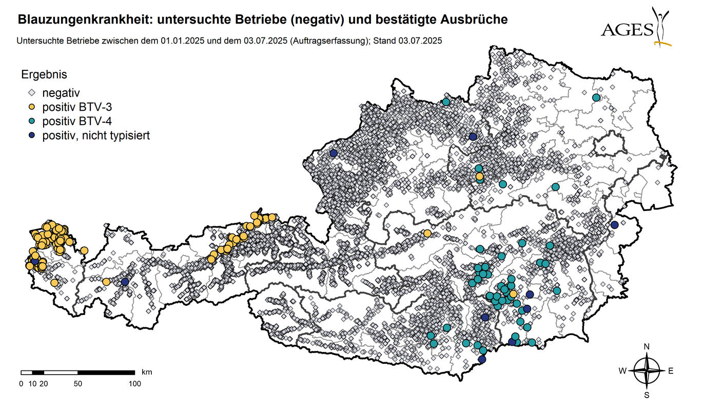 Österreichkarte: Eingezeichnet sind Ausbrüche und seit dem 01.01.2025 in Österreich untersuchte Betriebe mit negativem Ergebnis (10.417) (Vergrößert das Bild in einem Dialog Fenster)