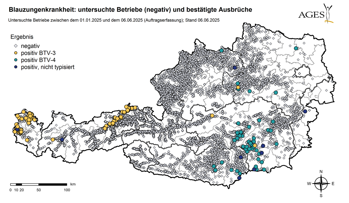 Österreichkarte: Eingezeichnet sind Ausbrüche und seit dem 01.01.2025 in Österreich untersuchte Betriebe mit negativem Ergebnis (10.275) (Vergrößert das Bild in einem Dialog Fenster)