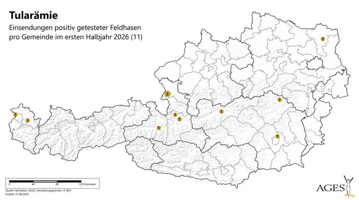Österreichkarte Funde positiver Feldhasen