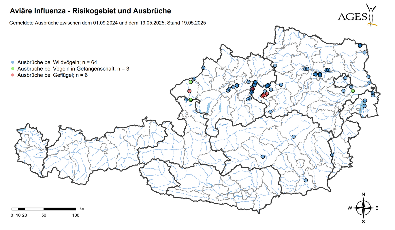 Risikogebiete und HPAI-Ausbrüche seit September 2024 (Vergrößert das Bild in einem Dialog Fenster)