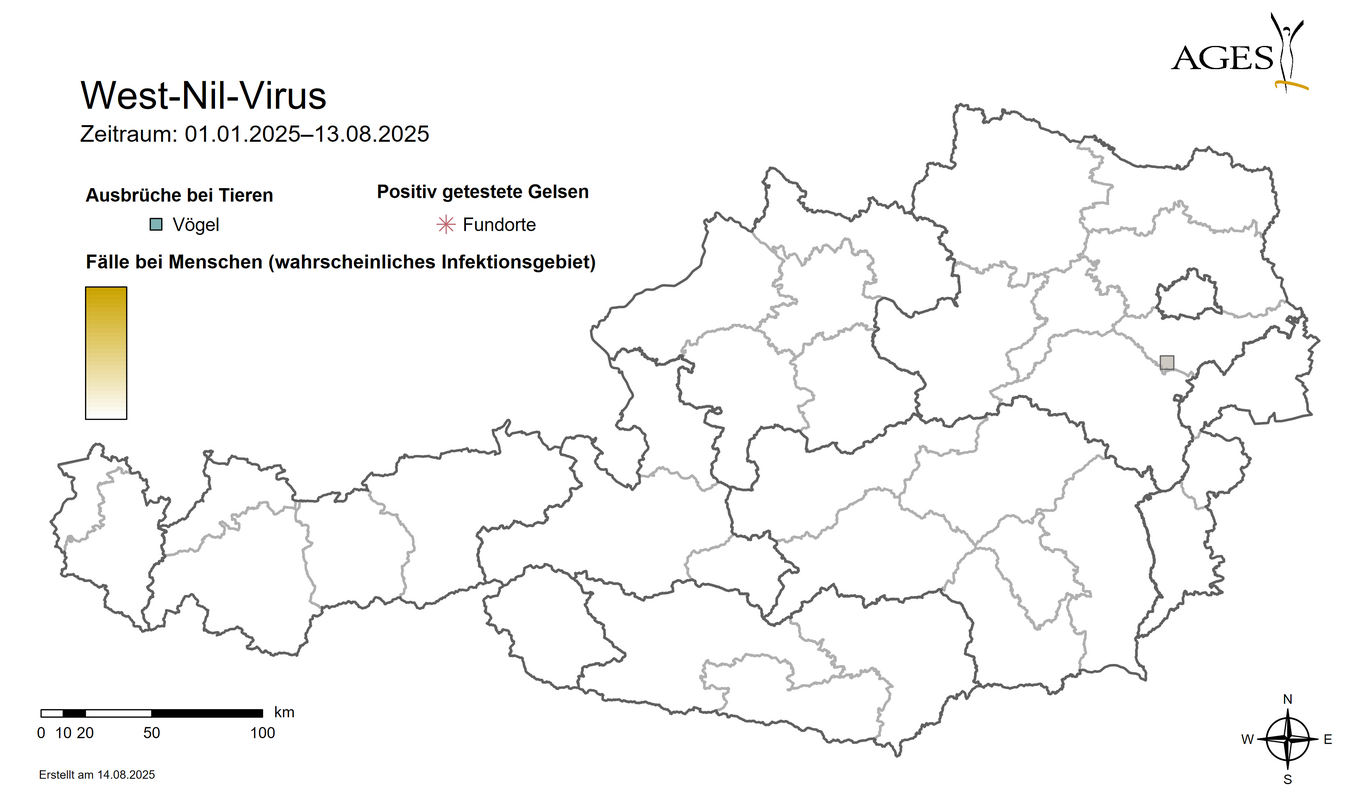  (Vergrößert das Bild in einem Dialog Fenster)
