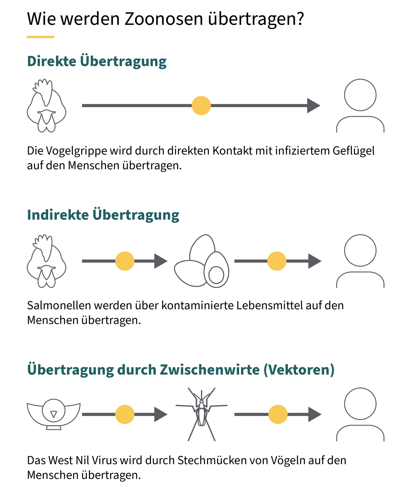 Grafische Darstellung der Übertragungswege: direkt, inidrekt, über Vektoren (Vergrößert das Bild in einem Dialog Fenster)