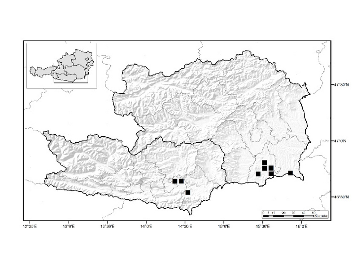 Karte von Kärnten und der Steiermark mit Verbreitung der Pferdenessel wie im Text beschrieben