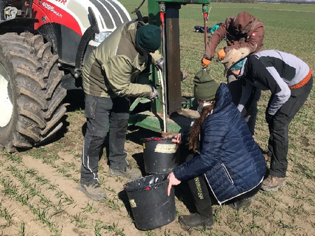 Tillage trial in Fuchsenbigl