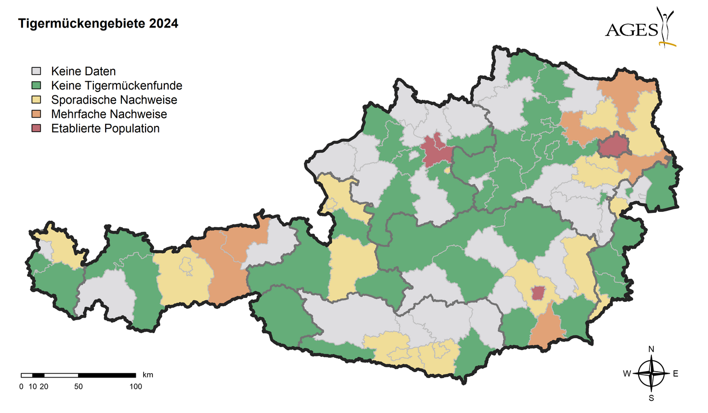 Österreichkarte zu Tigermückenfunden im Jahr 2024