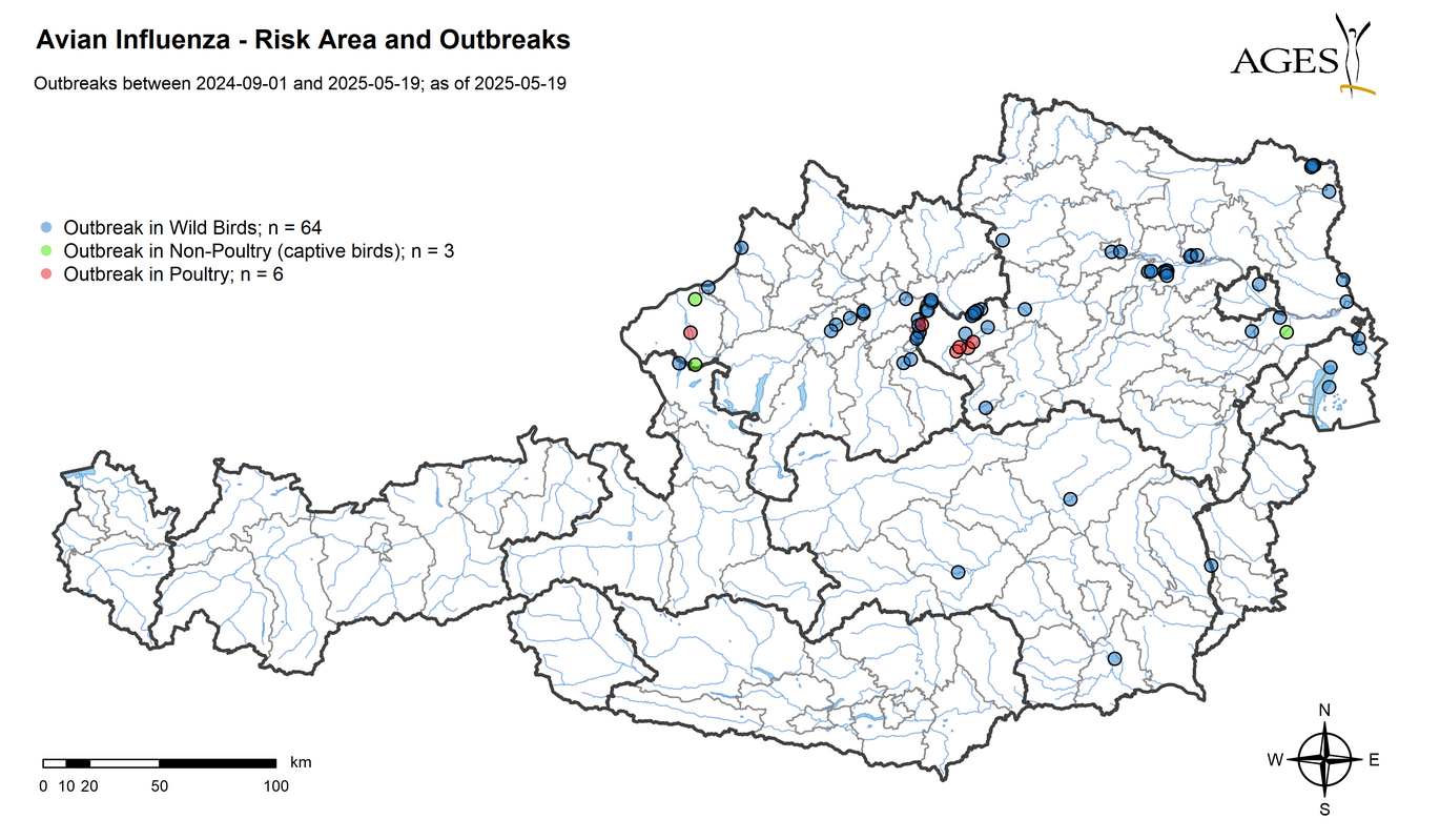 Risk areas and HPAI outbreaks since September 2024 (Enlarges Image in Dialog Window)