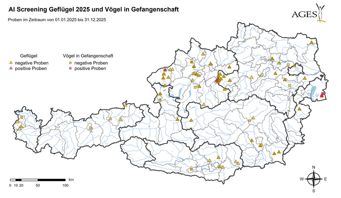 Serologisches Screening 2025, Betriebe und Tierkategorie HKE = Legehenne, TRU = Pute, GAN = Gans, ENT = Ente, ELT = Elterntier (Huhn), STR = Strauß, MJH = Mastgeflügel/Junghenne (Vergrößert das Bild in einem Dialog Fenster)