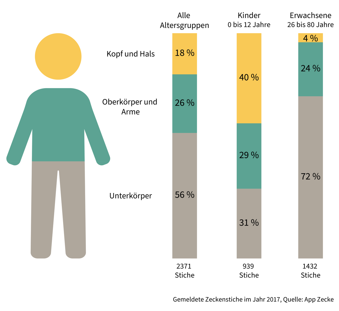 Gemeldete Zeckenstiche an unterschiedlichen Körperstellen. Alle Altersgruppen: Kopf und Hals: 18%, Oberkörper und Arme: 26%, Unterkörper: 56%; Kinder (0-12 Jahre): Kopf und Hals: 40%, Oberkörper und Arme: 29%, Unterkörper: 31%; Erwachsene (26-80 Jahre): Kopf und Hals: 4%, Oberkörper und Arme: 24%, Unterkörper: 72% (Enlarges Image in Dialog Window)