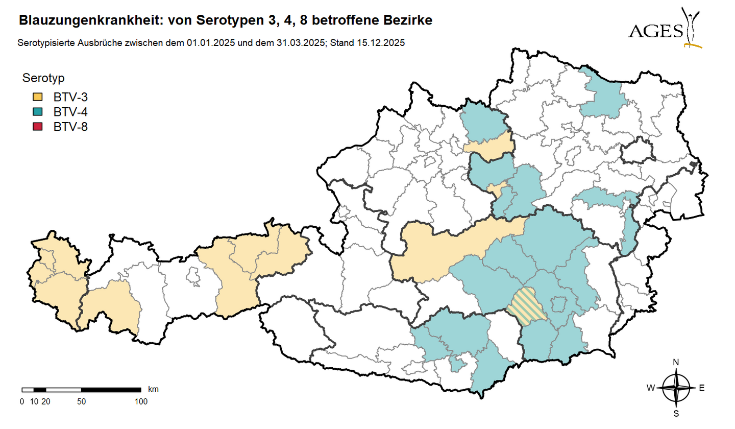Österreichkarte, die die von der Blauzungenkrankheit betroffenen Bezirke zeigt (1.1. bis 31.3.2025)
