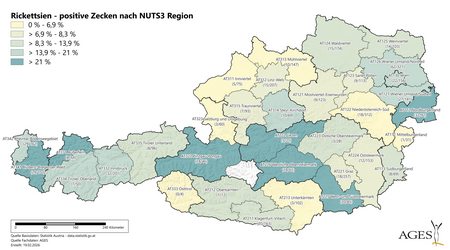  (Vergrößert das Bild in einem Dialog Fenster)