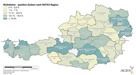  (Vergrößert das Bild in einem Dialog Fenster)