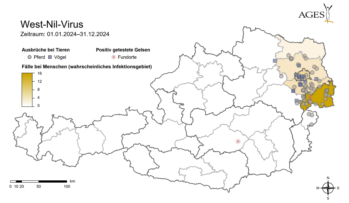 Darstellung WNV 2024 (Vergrößert das Bild in einem Dialog Fenster)