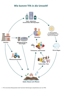 Infografik TFA (Vergrößert das Bild in einem Dialog Fenster)
