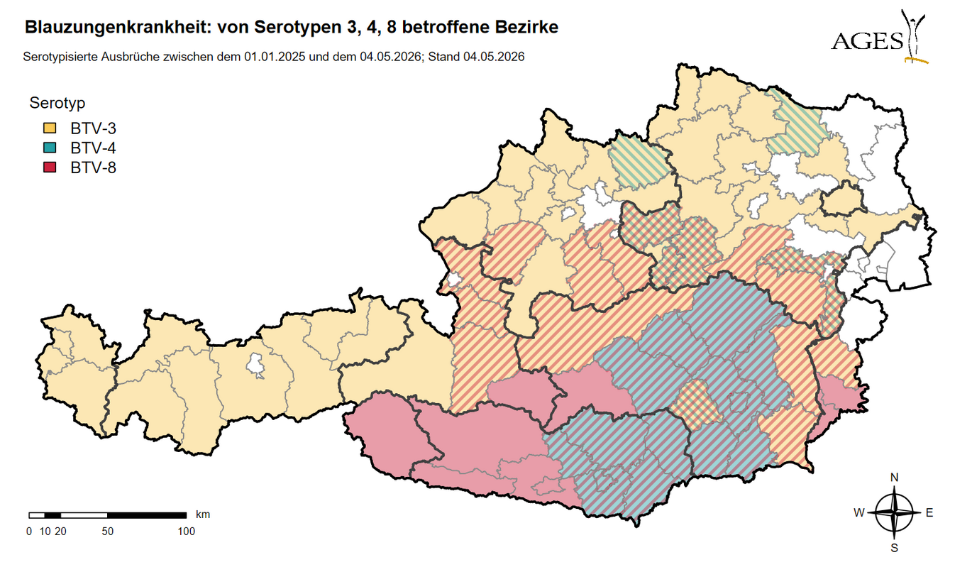 Österreichkarte, die die von der Blauzungenkrankheit betroffenen Bezirke zeigt (Enlarges Image in Dialog Window)