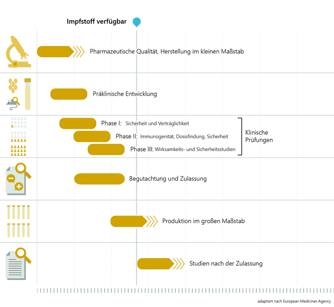 Ablaufdiagramm der beschleunigten Entwicklung und Zulassung von Impfstoffen (Vergrößert das Bild in einem Dialog Fenster)