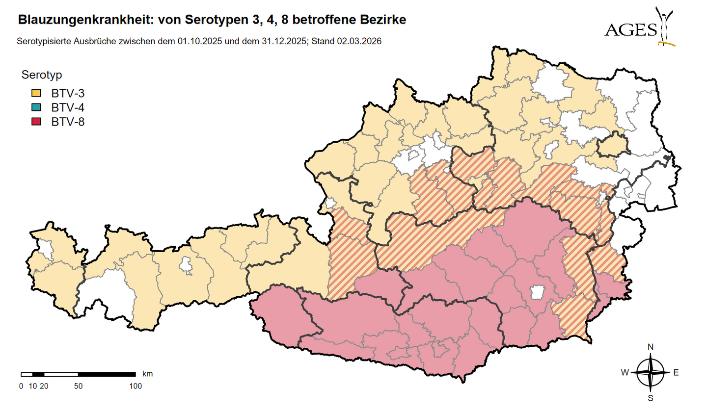 Österreichkarte, die die von der Blauzungenkrankheit betroffenen Bezirke zeigt (1.10 bis Aktualisierungsdatum)