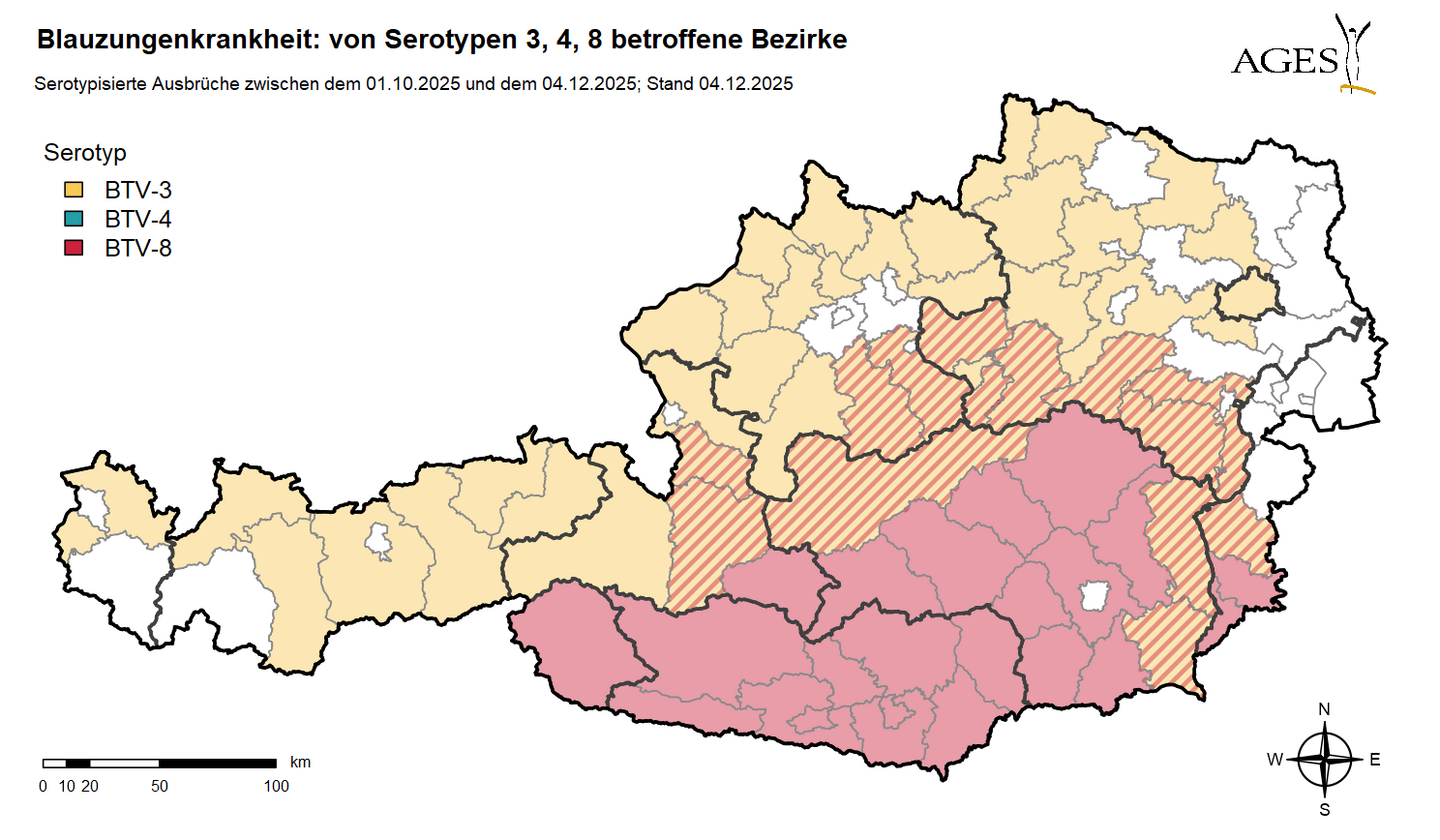 Österreichkarte, die die von der Blauzungenkrankheit betroffenen Bezirke zeigt (1.10 bis Aktualisierungsdatum)