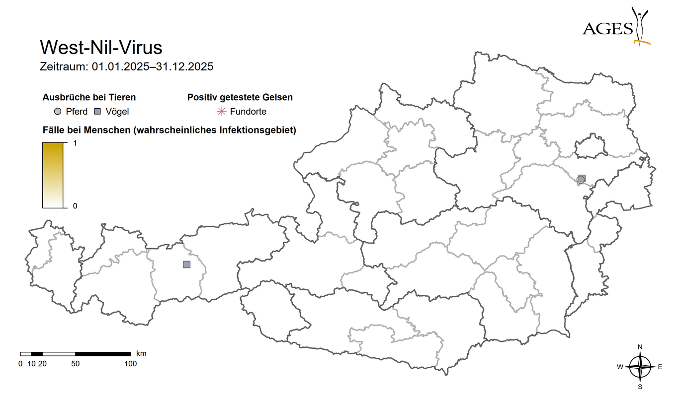  (Vergrößert das Bild in einem Dialog Fenster)