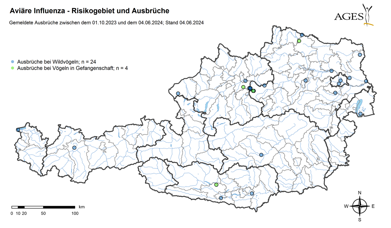  (Vergrößert das Bild in einem Dialog Fenster)