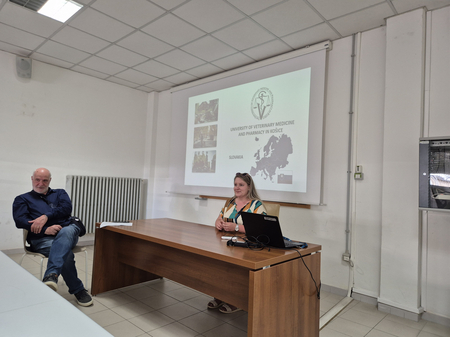 Picture of Uni Sassari (Vergrößert das Bild in einem Dialog Fenster)