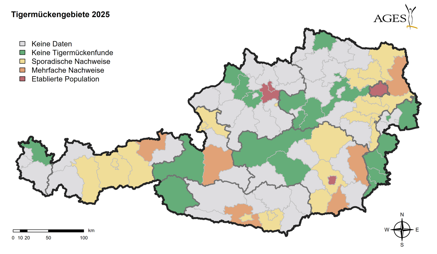 Österreichkarte zu Tigermückenfunden im Jahr 2025