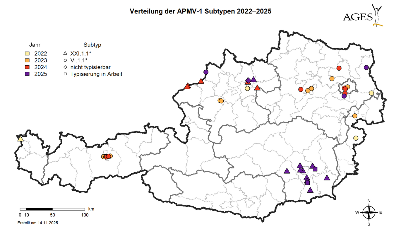 Verteilung der nachgewiesen APMV-1 - Genotypen bei (Wild-)Tauben in Österreich im Zeitraum 2022 bis 2025
