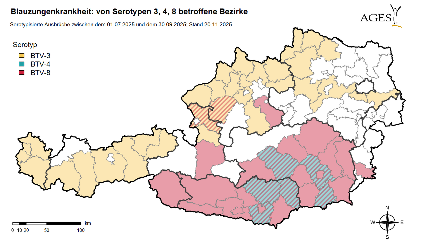 Österreichkarte, die die von der Blauzungenkrankheit betroffenen Bezirke zeigt (1.7. bis 30.9. 2025)