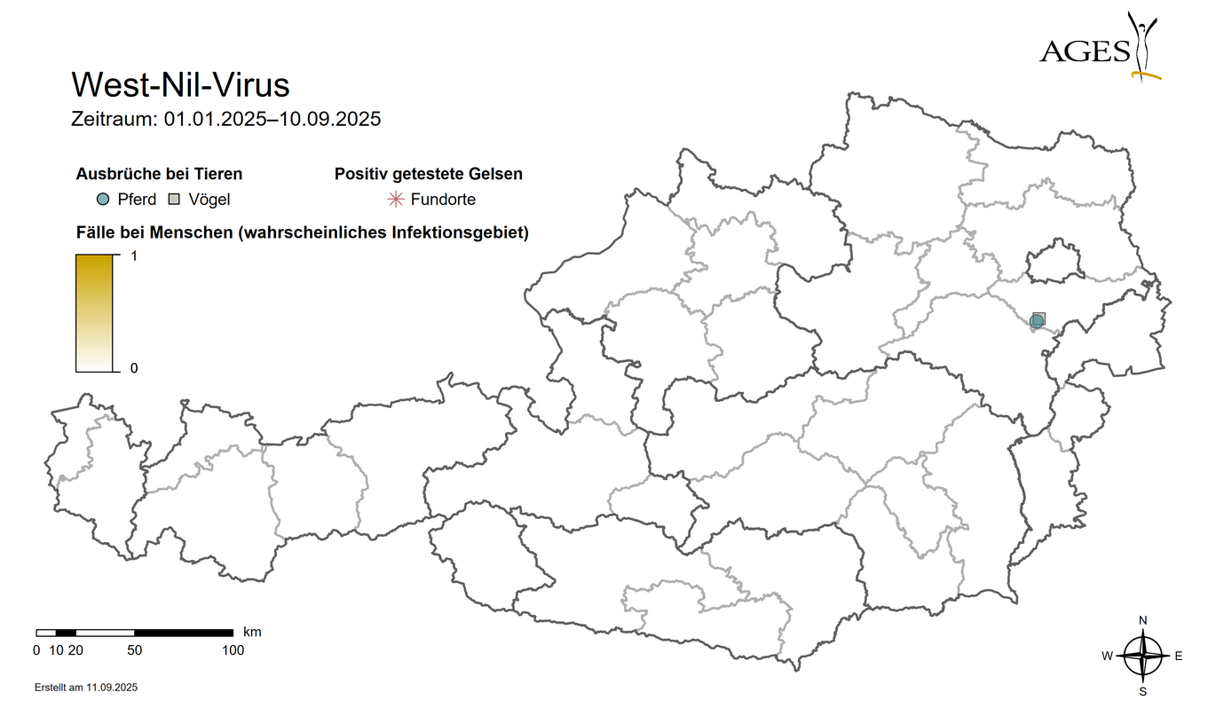  (Vergrößert das Bild in einem Dialog Fenster)