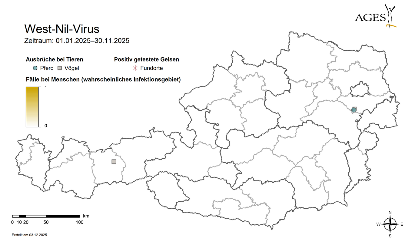  (Vergrößert das Bild in einem Dialog Fenster)