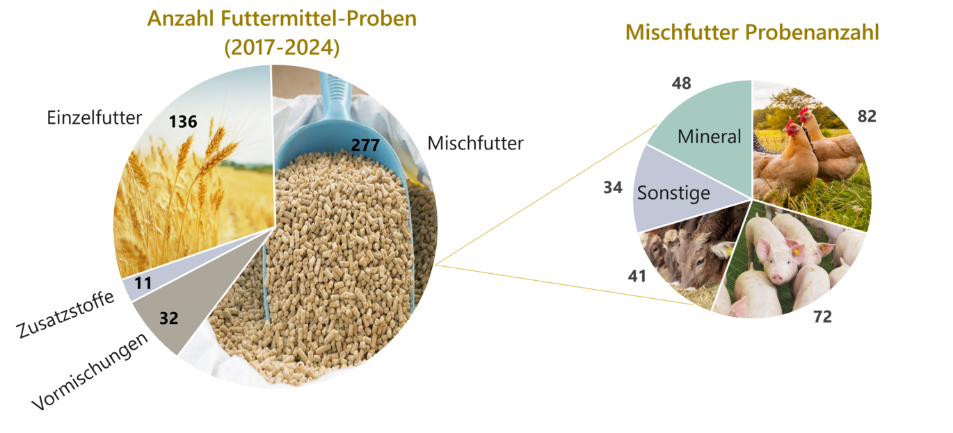 Die Grafik zeigt die Anzahl der gemessenen Proben in den Jahren 2017 bis 2024. Es wurden 136 Einzelfutter, 11 Zusatzstoffe, 32 Vormischungen und 277 Mischfutter gemessen. Die Mischfutter unterteilten sich in 48 mineralische Futtermittel, 82 für Geflügel, 72 für Schweine, 41 für Rinder und 34 zur sonstigen Verwendung.
