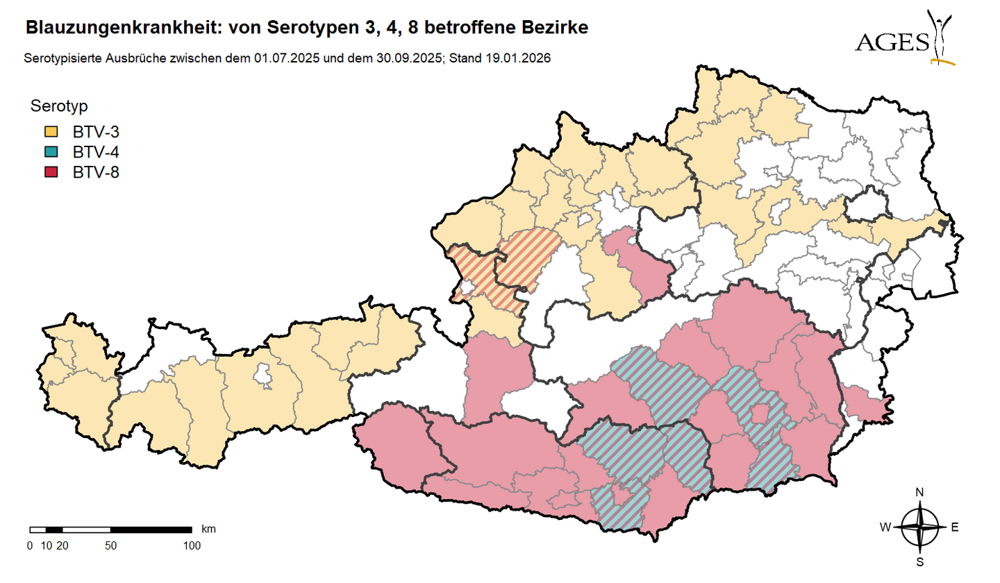 Österreichkarte, die die von der Blauzungenkrankheit betroffenen Bezirke zeigt (1.7. bis 30.9. 2025)