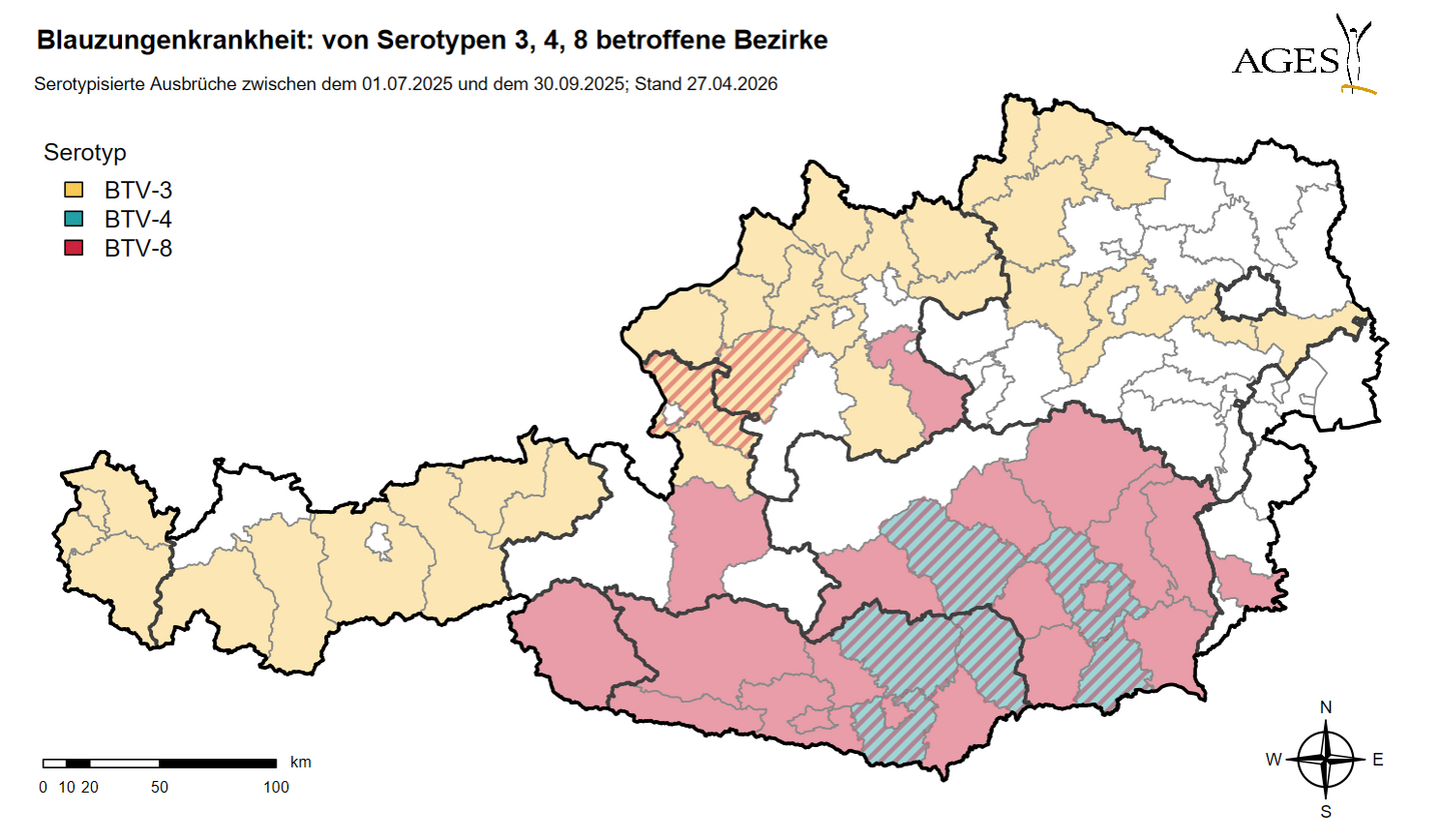 Österreichkarte, die die von der Blauzungenkrankheit betroffenen Bezirke zeigt (1.7. bis 30.9. 2025)